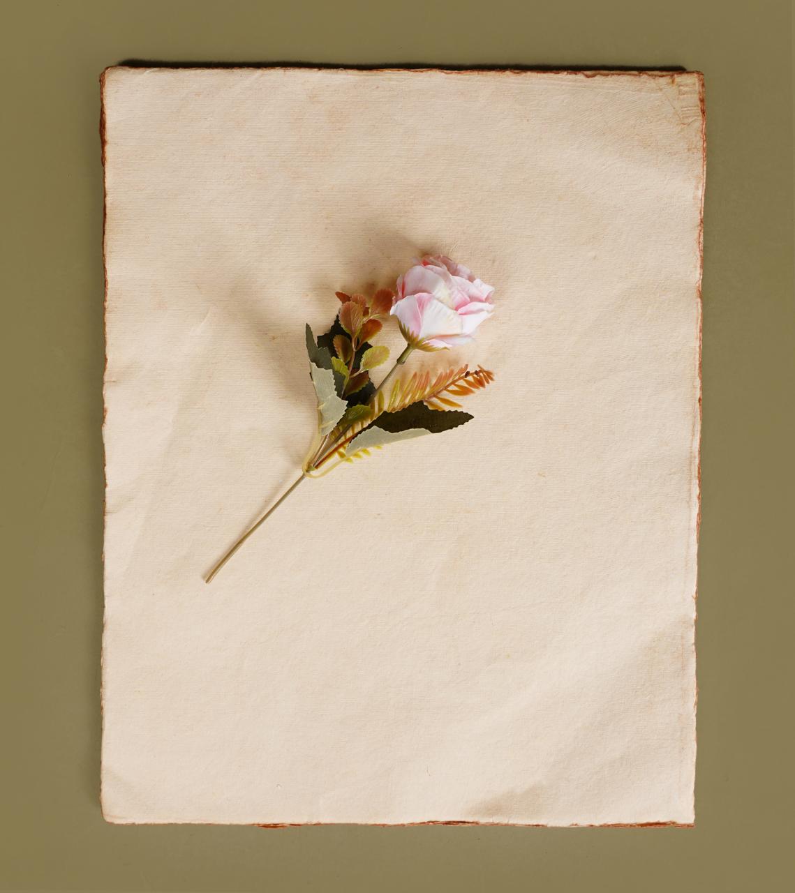 Vintage Handmade Deckle Edge Paper | Cotton Rag Sheets for Calligraphy, Invitations & Printing